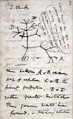 "Darwin_Tree_1837.png" by User:Racconish