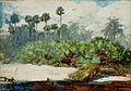 "Winslow_Homer_-_Florida_Jungle_(02).jpg" by User:Botaurus