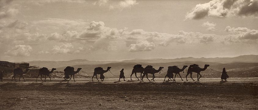 "Egyptian_camel_transport3.jpg" by User:Durova