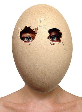 Barbora Bálková , "Hen or egg?", 2005