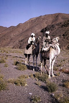 "14_Ababda_(6)_C.jpg" by User:Haubi