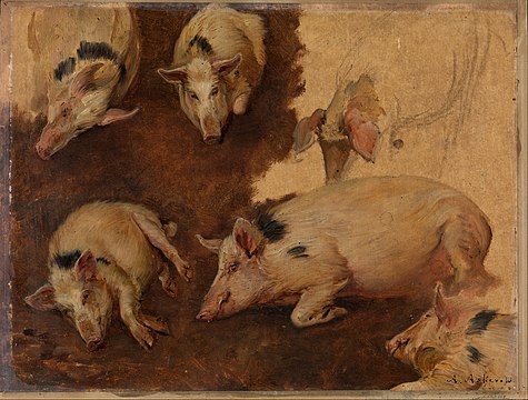 "Anders_Askevold_-_Study_of_six_Pigs_-_Google_Art_Project.jpg" by User:DcoetzeeBot