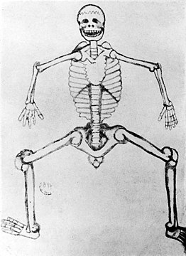 "Anatomy;_skeleton_from_a_Dresden_manuscript._Wellcome_M0000409.jpg" by User:Fæ