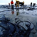 "Oil-spill.jpg" by User:Svdmolen