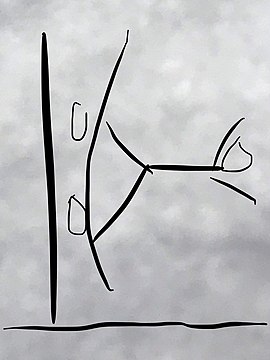 "Wallride_diagram.jpg" by User:Wil540 art