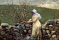 "Winslow_Homer_-_Peach_Blossoms,_1879.jpg" by User:Botaurus