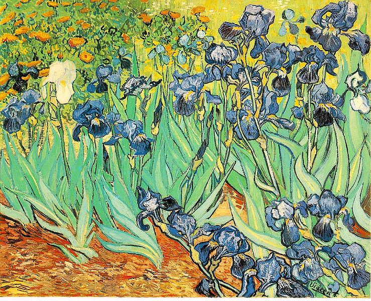 File:VanGogh-Irises 1.jpg