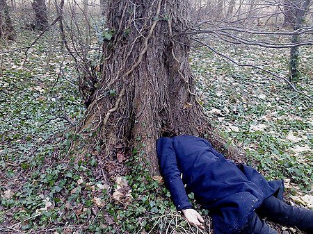 Menno Veldhuis, "Back to Nature" (143), 2013