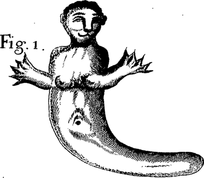 "An_account_of_divers_choice_remarks_Fleuron_T138037-9.png" by User:Fæ