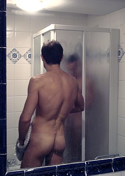 "Bathroom_talk_1_-_Photo_by_Giovanni_Dall'Orto,_Aug_2_2007.jpg" by User:G.dallorto