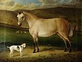 "British_School_-_Horse_and_Dogs_-_201457_-_National_Trust.jpg" by User:BotMultichillT