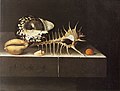"Adriaen_Coorte_-_Shells_-_1698.jpg" by User:Jane023