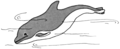 "Porpoise_(PSF).png" by User:PatríciaR