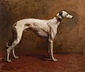 "Heywood_Hardy_-_Hardy-98372_-_The_White_Greyhound_-_1880.jpg" by User:Pigsonthewing