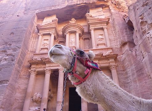 "El_Khasneh_and_the_camel.JPG" by User:Mileli