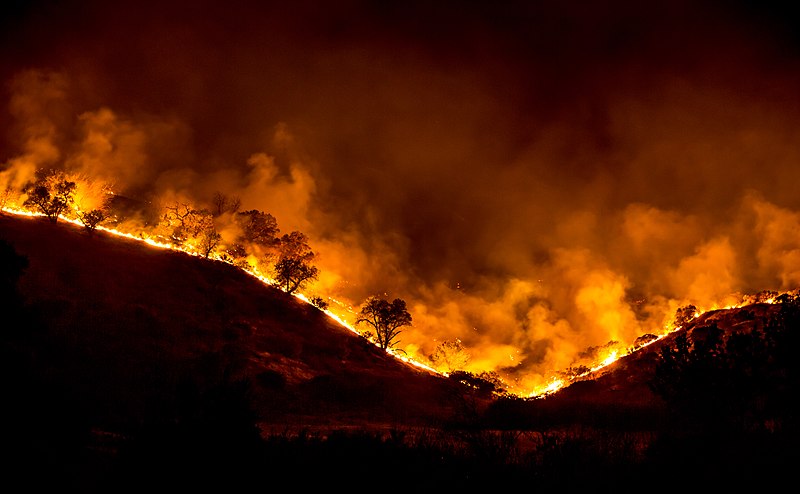 File:Woolsey Fire - tree ridge in flames 20181119-PB-008.jpg