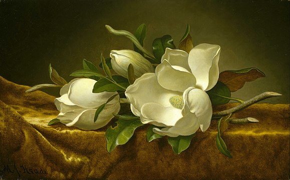 "Martin_Johnson_Heade_-_Magnolias_on_Gold_Velvet_Cloth_-_Google_Art_Project.jpg" by User:DcoetzeeBot