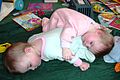 "Being_a_twin_means_you_always_have_a_pillow_or_blanket_handy.jpg" by User:Kauczuk