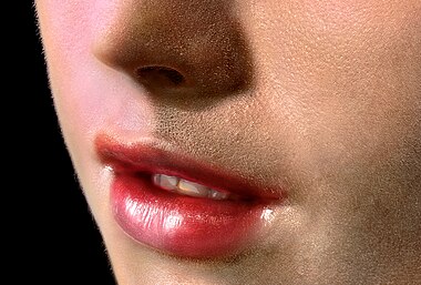 Detail of lips, "Girl with a Pearl Earring" (Renovation) by Koorosh Orooj, 2016