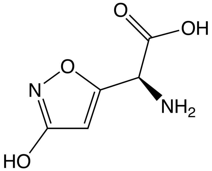 File:Ibotenic acid2.png