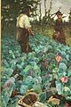 "A_Cabbage_Garden_by_Arthur_Melville,_1877,_NGS.JPG" by User:Stephencdickson