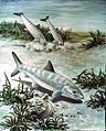 "Bonefish_art_image.jpg" by User:Fæ