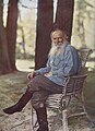 "L.N.Tolstoy_Prokudin-Gorsky.jpg" by User:CactiStaccingCrane