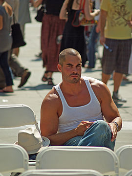 "Man_in_A_shirt_at_the_Brooklyn_Book_Festival.jpg" by User:David Shankbone