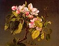 "Martin_Johnson_Heade_-_Apple_Blossoms_CGF.jpg" by User:Staszek99