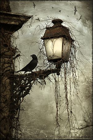 Arthur Rackham, "Bird on a Lantern", before 1939