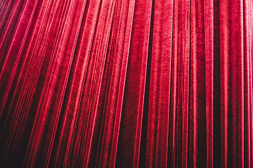 Natalia Senatorova, Twin Peaks Festival in Nekrasov Library, Moscow, 2017