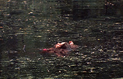 "Last House on the Left", trailer screenshot