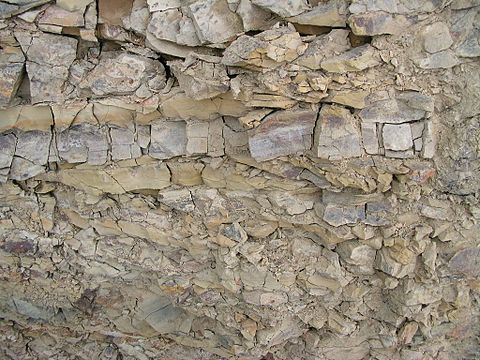 "Flickr_-_brewbooks_-_Uplifted_distressed_rock_in_road_cut_(1).jpg" by User:Matanya