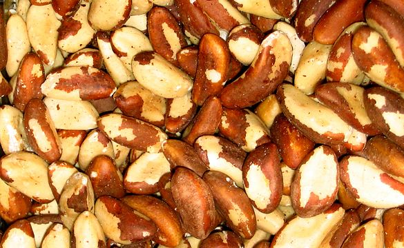"Brazil_nuts.jpg" by User:Quadell