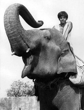 "Sajid_Kahn_Maya.jpg" by User:Crakkerjakk