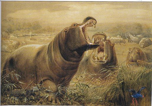 "Wolf_flusspferde.jpg" by User:Historiograf