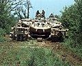 "M60-panther-mcgovern-base.jpg" by User:Hohum